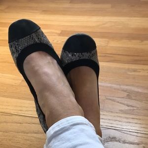 Yosi Samra Shoes - Yosi Samra Snake Print flat in smoke Yosi Samra Shoes - Yosi Samra Snake Print flat in smoke